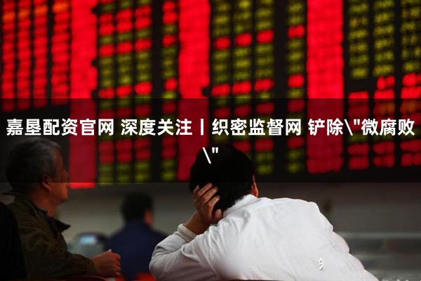 嘉垦配资官网 深度关注丨织密监督网 铲除＂微腐败＂