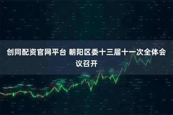创同配资官网平台 朝阳区委十三届十一次全体会议召开
