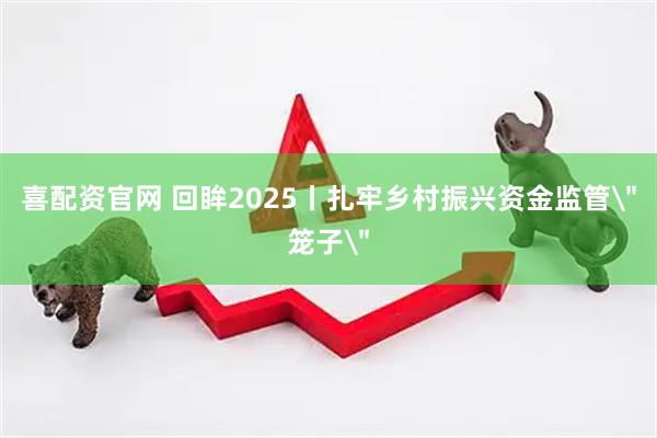 喜配资官网 回眸2025丨扎牢乡村振兴资金监管＂笼子＂