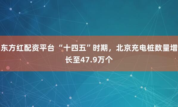 东方红配资平台 “十四五”时期，北京充电桩数量增长至47.9万个