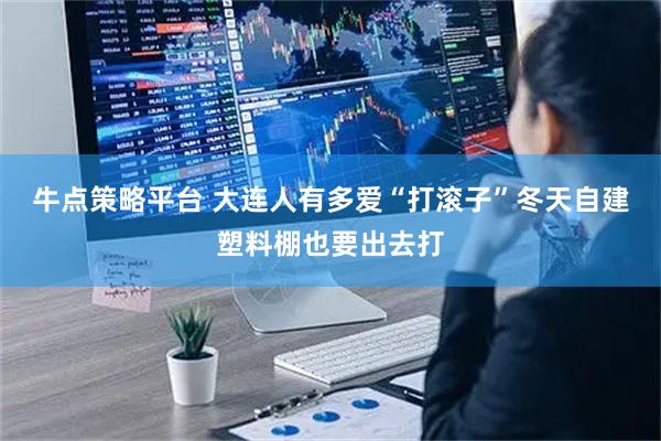 牛点策略平台 大连人有多爱“打滚子”冬天自建塑料棚也要出去打