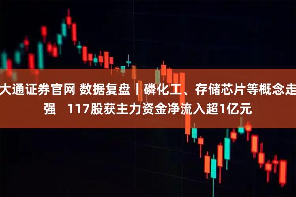 大通证券官网 数据复盘丨磷化工、存储芯片等概念走强   117股获主力资金净流入超1亿元