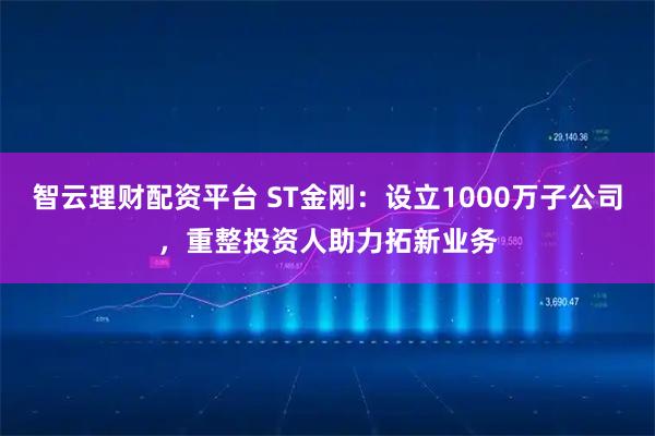 智云理财配资平台 ST金刚：设立1000万子公司，重整投资人助力拓新业务