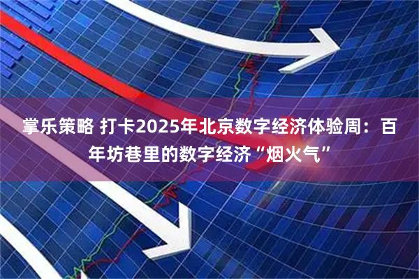 掌乐策略 打卡2025年北京数字经济体验周：百年坊巷里的数字经济“烟火气”