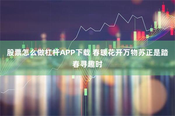 股票怎么做杠杆APP下载 春暖花开万物苏正是踏春寻趣时