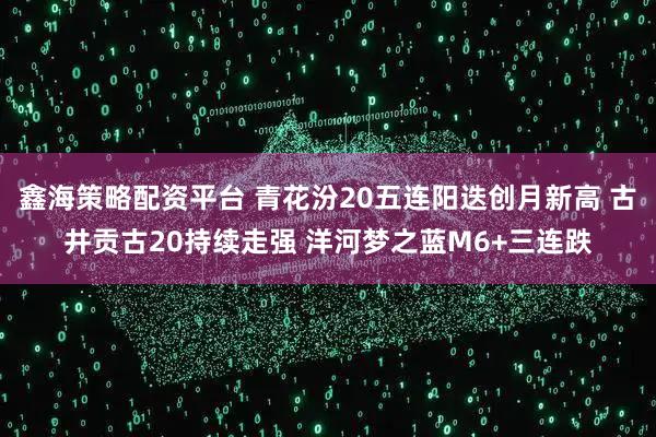 鑫海策略配资平台 青花汾20五连阳迭创月新高 古井贡古20持续走强 洋河梦之蓝M6+三连跌